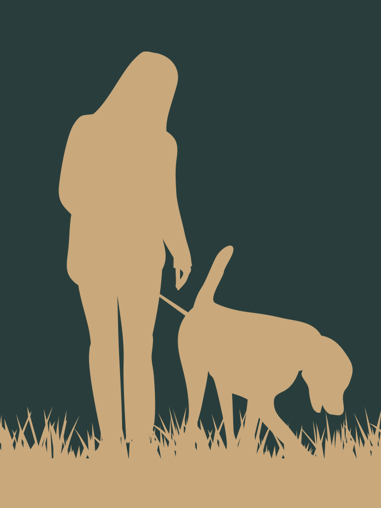 Erfahrungsbericht zum Hundetraining bei Kerstin Bahlert - anonym dargestellt