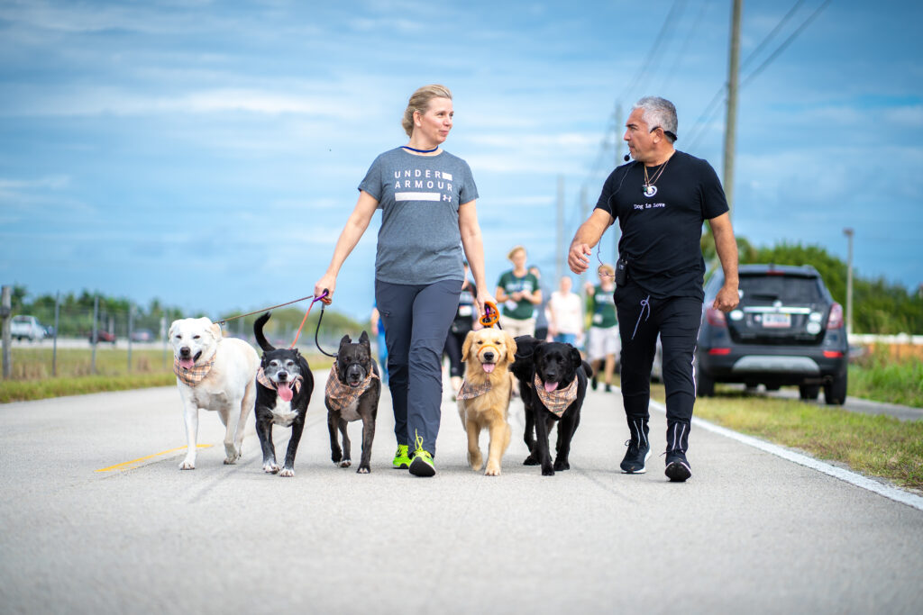 Kerstin Bahlert mit Hundetrainer Cesar Millan beim Hundetraining mit fünf Hunden in Fort Lauderdale, Florida