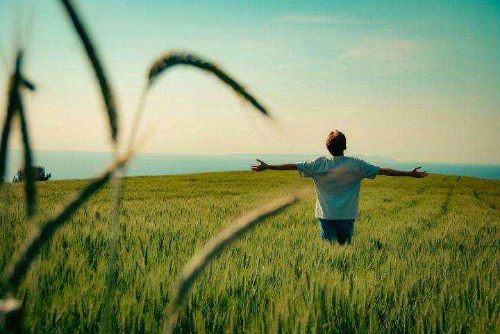 Mensch steht mit ausgebreiteten Armen in einem grünen Feld und blickt in die Ferne – Symbol für Freiheit, Neuanfang und positive Veränderung durch intensives Hundecoaching.
