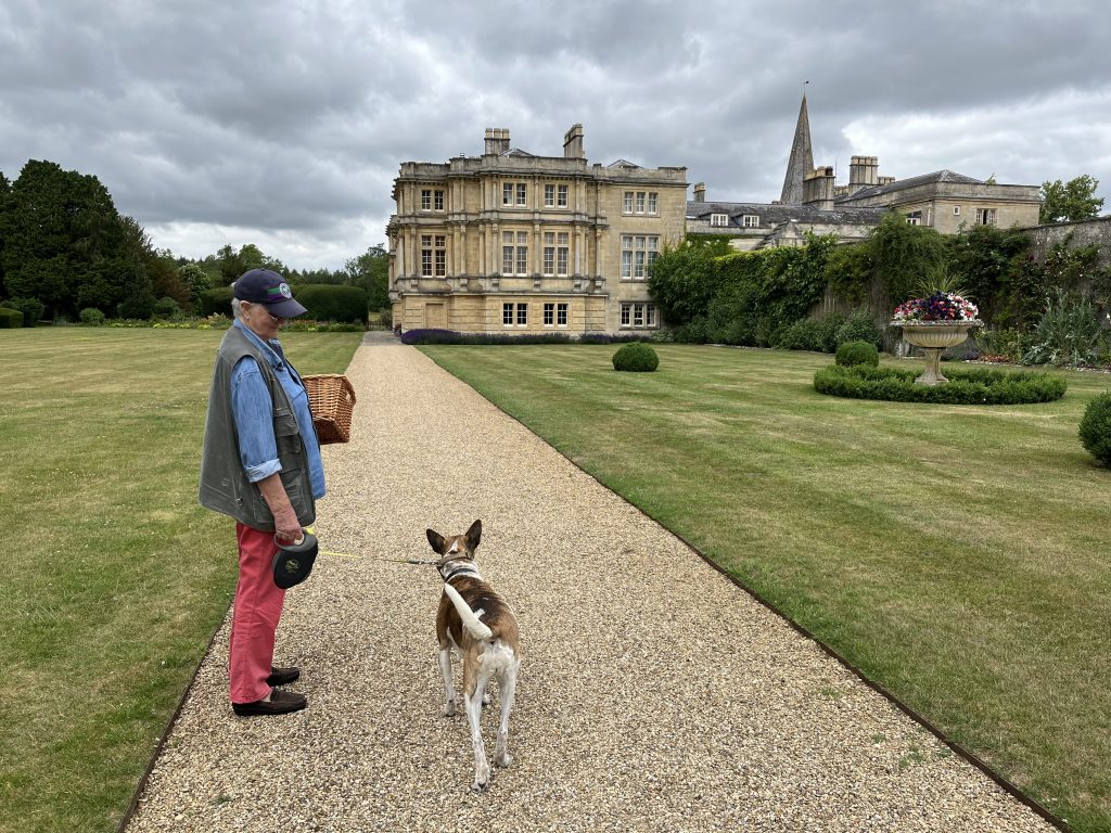 Individuelles harmonisches Hundetraining von Hundetrainerin Kerstin Bahlert: Spaziergang mit bravem Hund vor georgianischer Villa im Grünen.